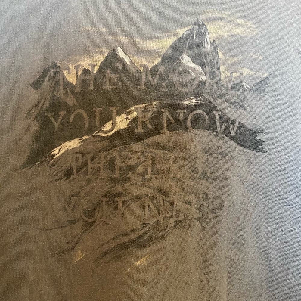 Patagonia men’s t-shirt